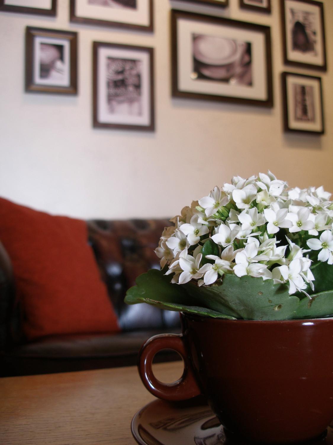 Dalby Hotel Haslev Zewnętrze zdjęcie